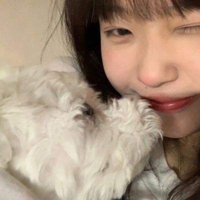 半岛网页版入口官网